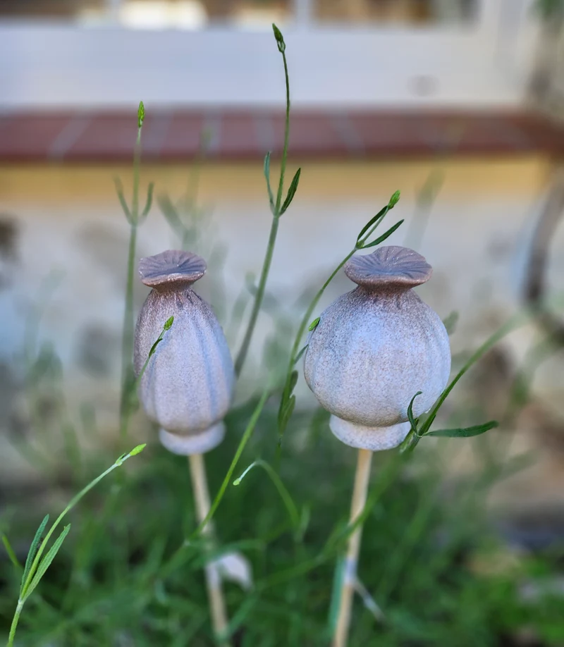 Mohnkapsel Steingut
