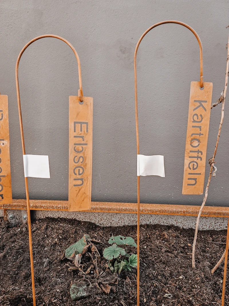 Gemüsestecker Rost