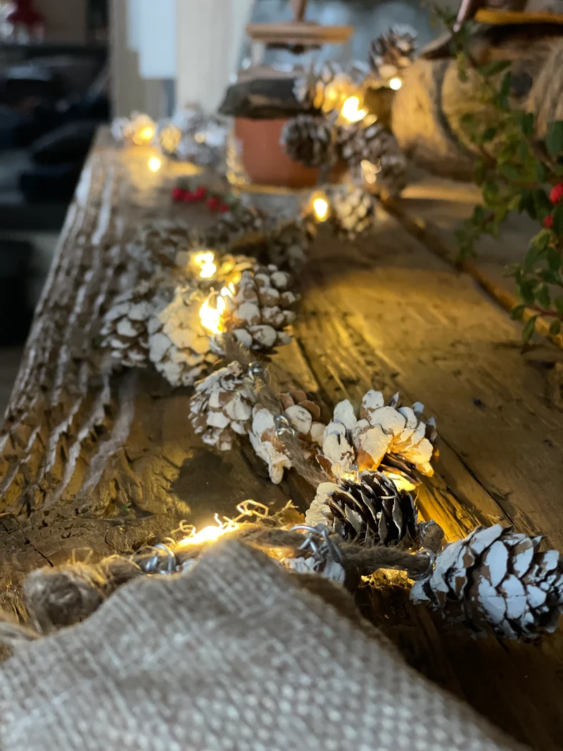 Lichterkette Zapfen