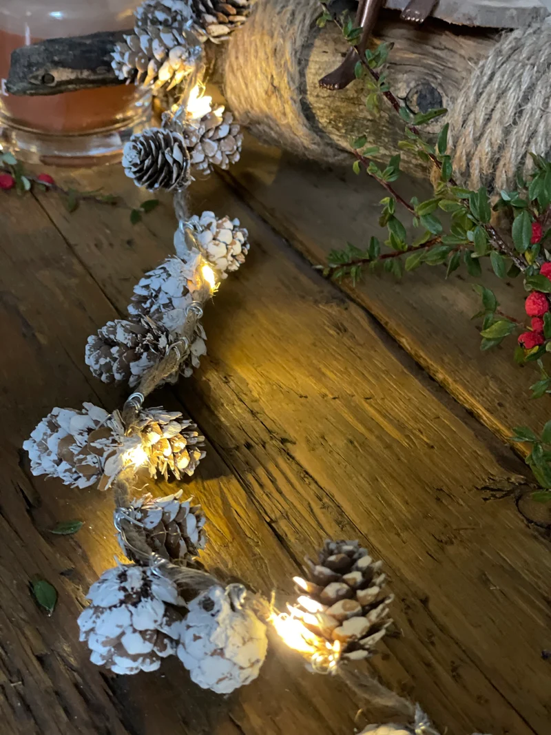 Lichterkette Zapfen