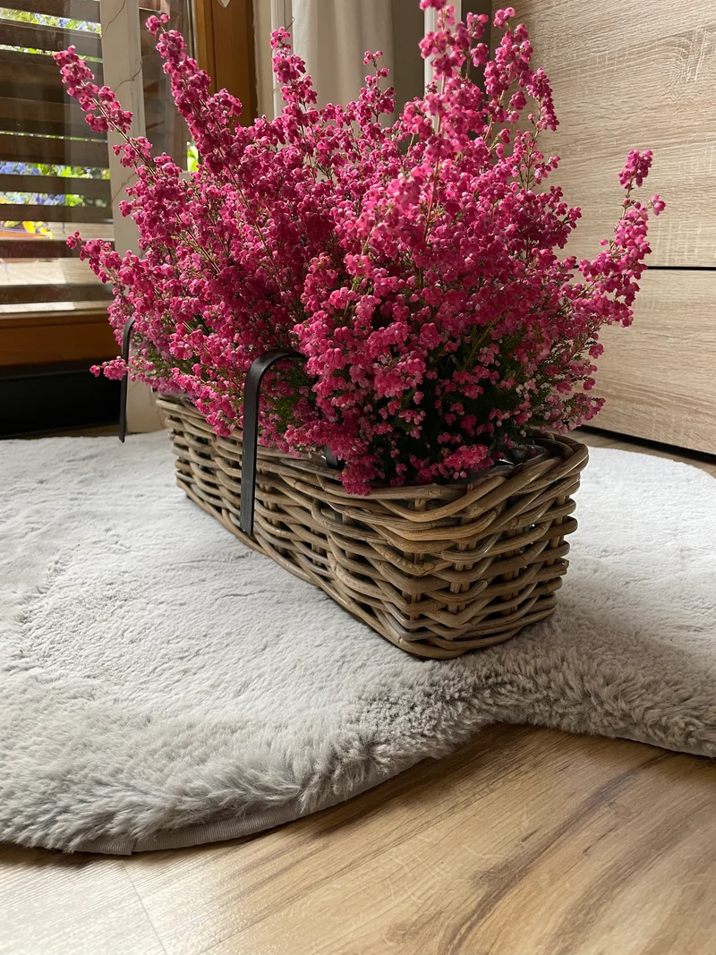Rattan Balkon Kasten