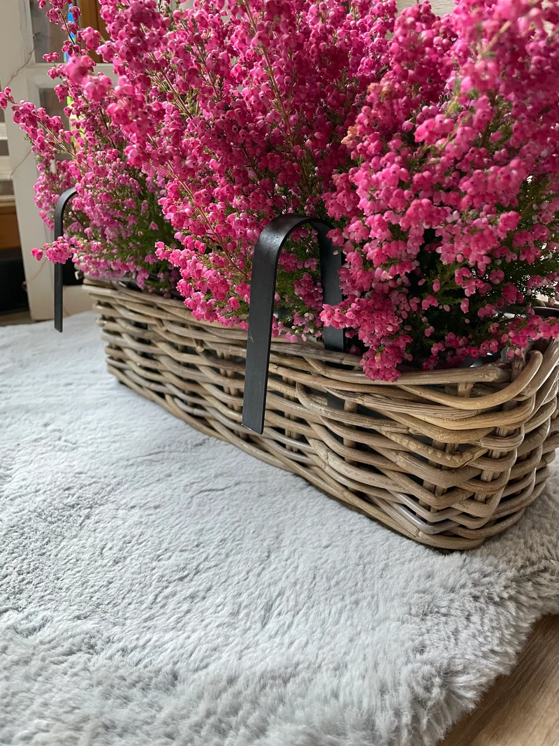 Rattan Balkon Kasten