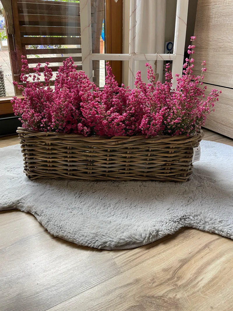 Rattan Balkon Kasten