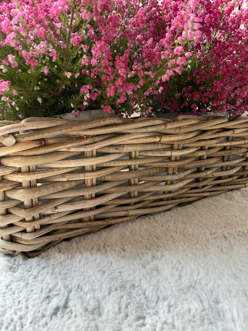 Rattan Balkon Kasten