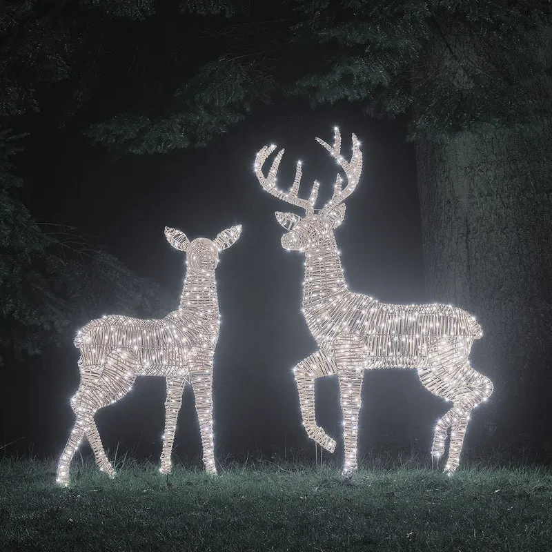 2er Set Bicolor LED-Rentiere Hirsch & Hirschkuh XL Leyburn