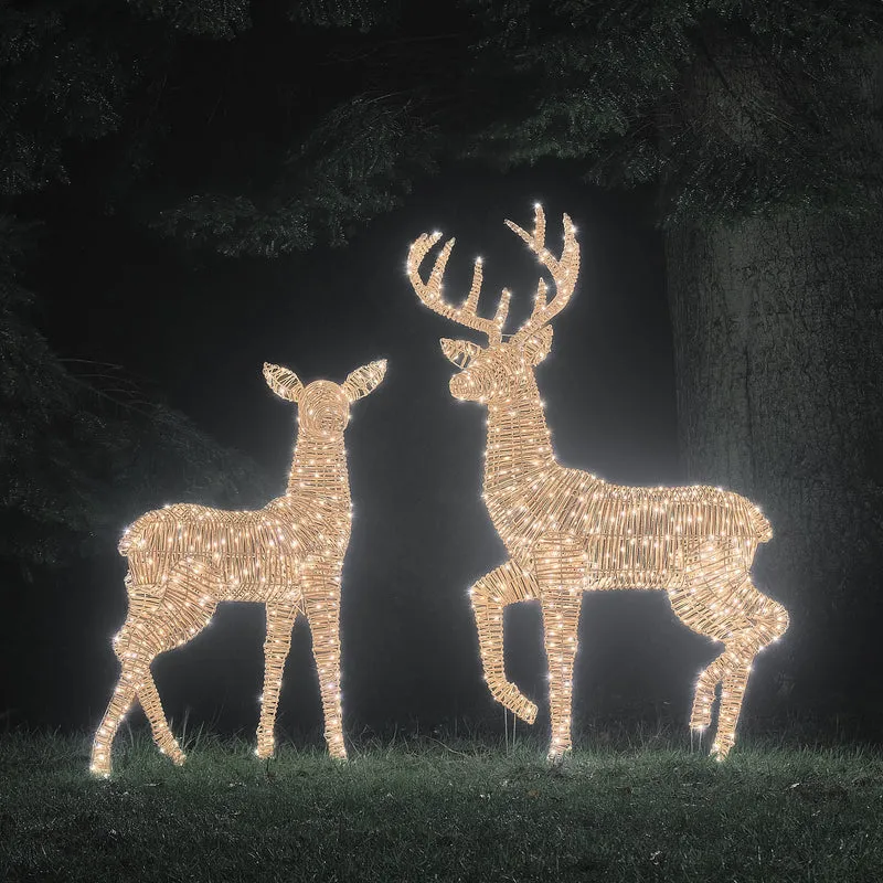 2er Set Bicolor LED-Rentiere Hirsch & Hirschkuh XL Leyburn