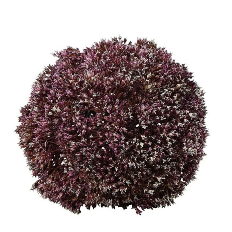 Deko Kugel Eupatorium L purpur