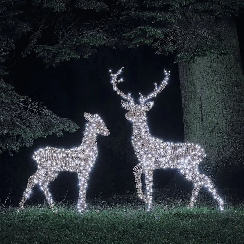 2er Set LED-Rentiere Hirsch und Hirschkuh XL Pateley in Rattan-Optik