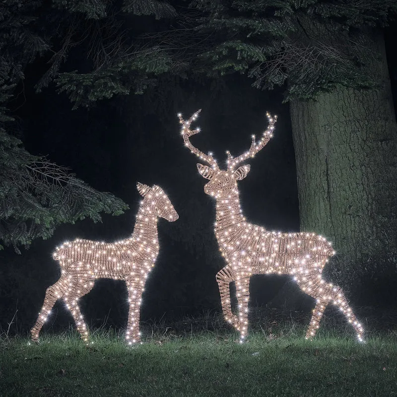 2er Set LED-Rentiere Hirsch und Hirschkuh XL Pateley in Rattan-Optik