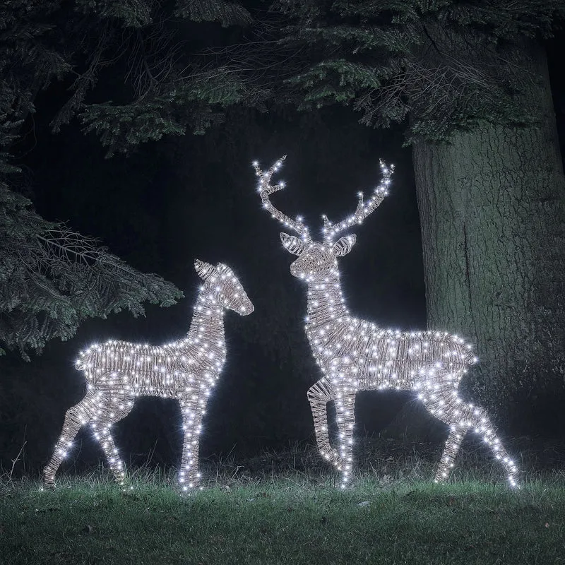 2er Set LED-Rentiere Hirsch und Hirschkuh XL Pateley in Rattan-Optik
