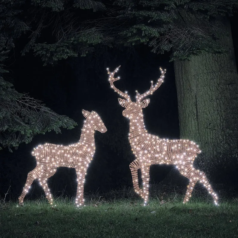 2er Set LED-Rentiere Hirsch und Hirschkuh XL Pateley in Rattan-Optik