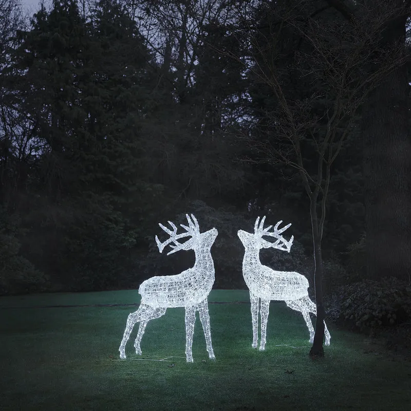 2er Set XL Swinsty LED-Hirsche aus weißem Acryl für den Außenbereich