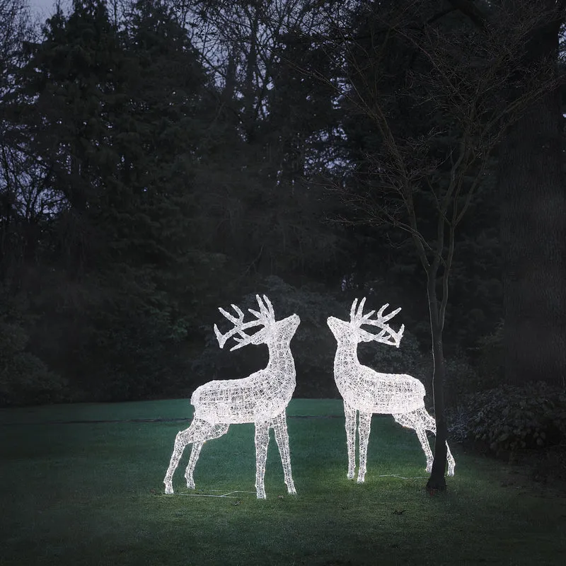 2er Set XL Swinsty LED-Hirsche aus weißem Acryl für den Außenbereich