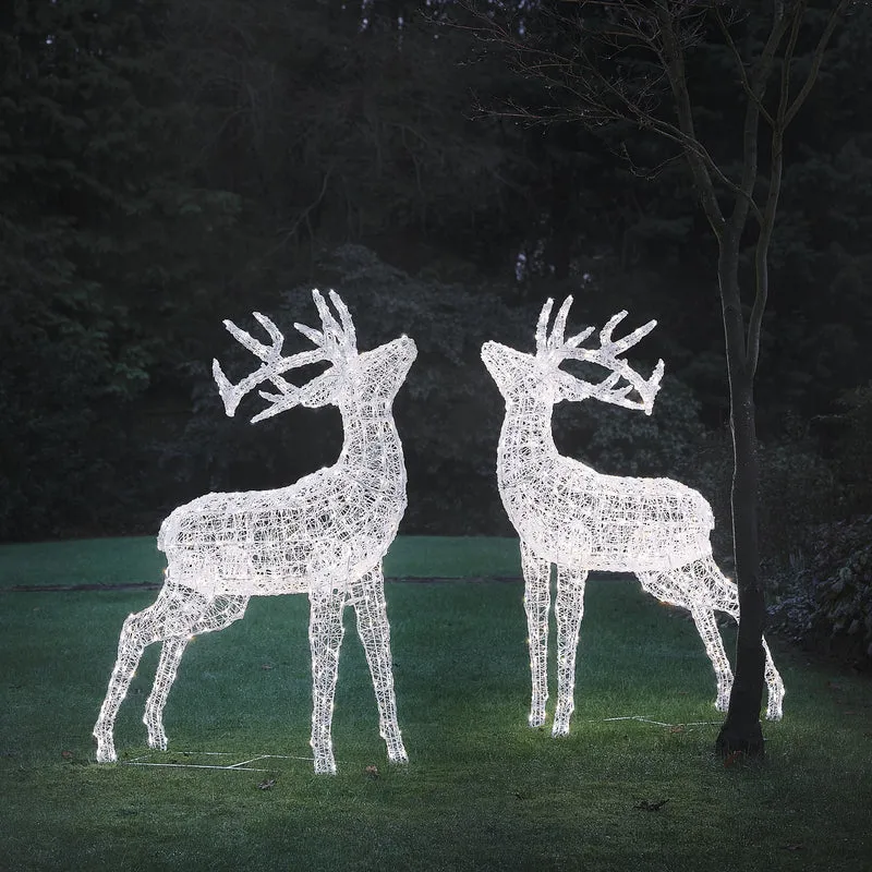 2er Set XL Swinsty LED-Hirsche aus weißem Acryl für den Außenbereich
