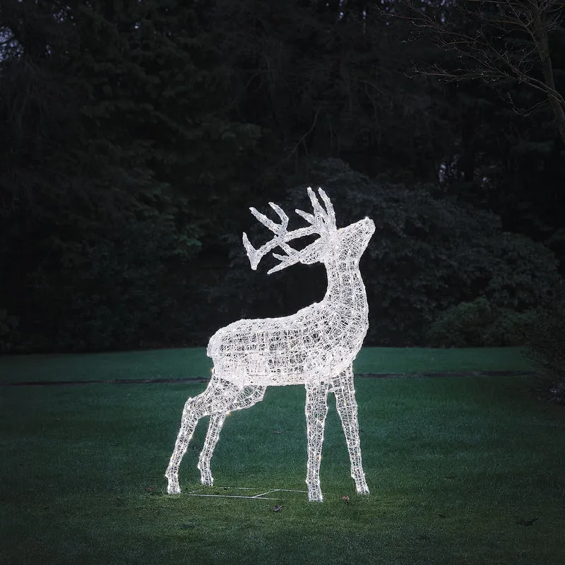 Bicolor LED-Rentier Hirsch XL Swinsty mit 450 LEDs