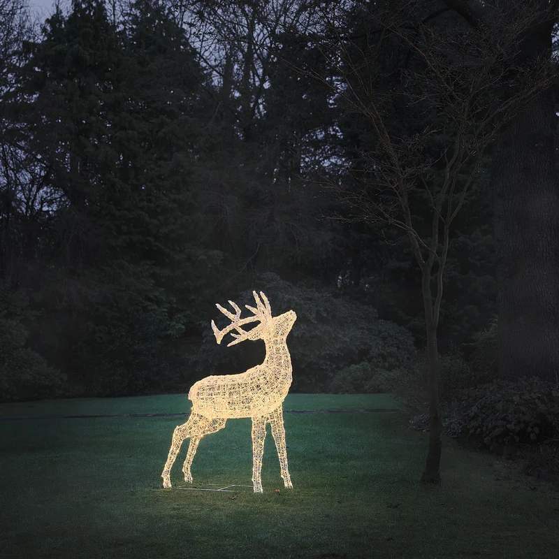 Bicolor LED-Rentier Hirsch XL Swinsty mit 450 LEDs