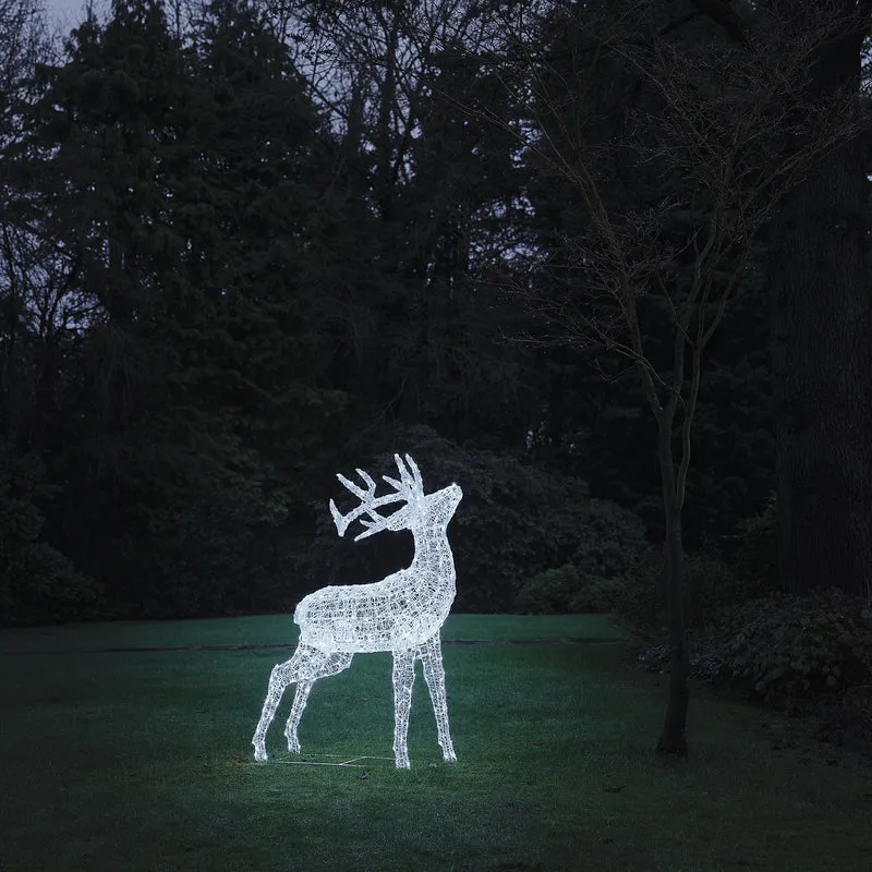 Bicolor LED-Rentier Hirsch XL Swinsty mit 450 LEDs
