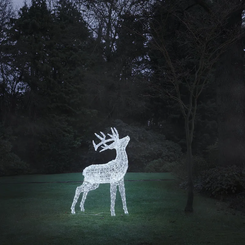 Bicolor LED-Rentier Hirsch XL Swinsty mit 450 LEDs