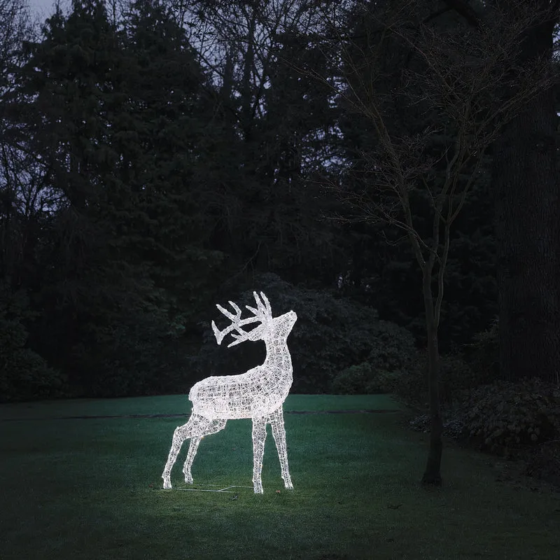Bicolor LED-Rentier Hirsch XL Swinsty mit 450 LEDs
