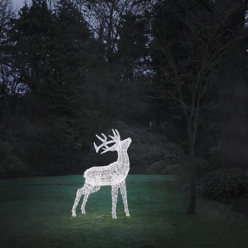 Bicolor LED-Rentier Hirsch XL Swinsty mit 450 LEDs