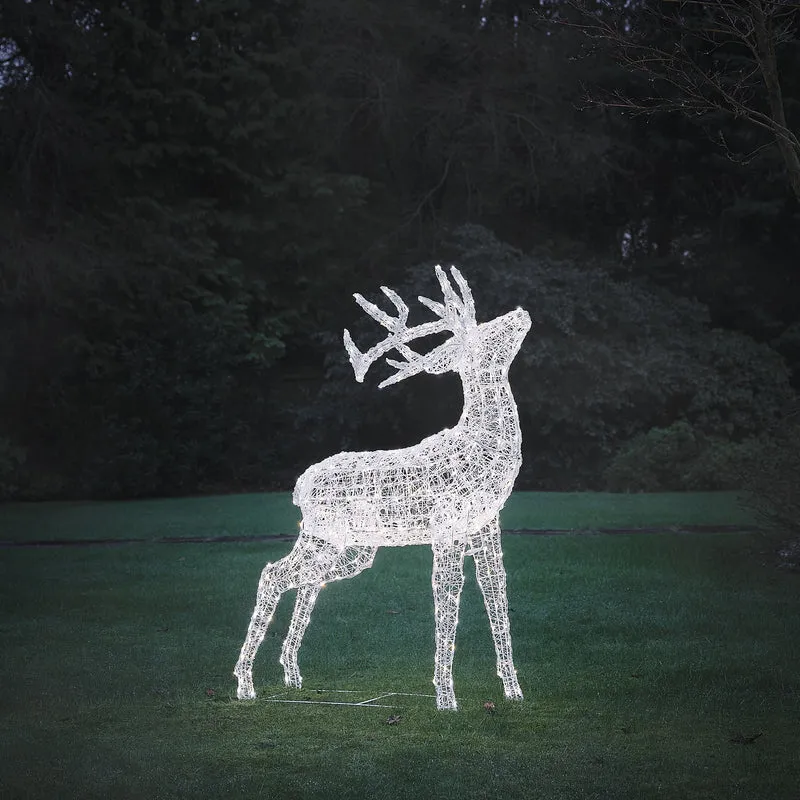 Bicolor LED-Rentier Hirsch XL Swinsty mit 450 LEDs