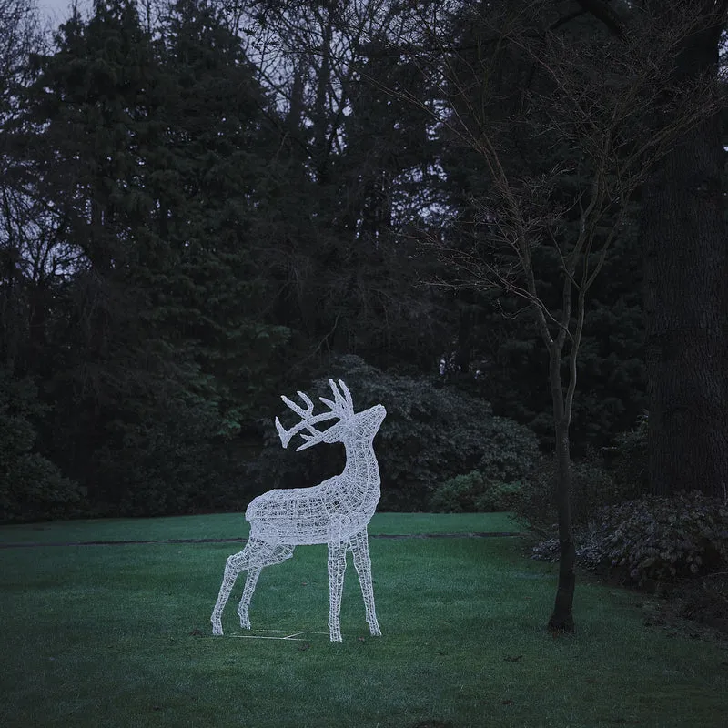 Bicolor LED-Rentier Hirsch XL Swinsty mit 450 LEDs