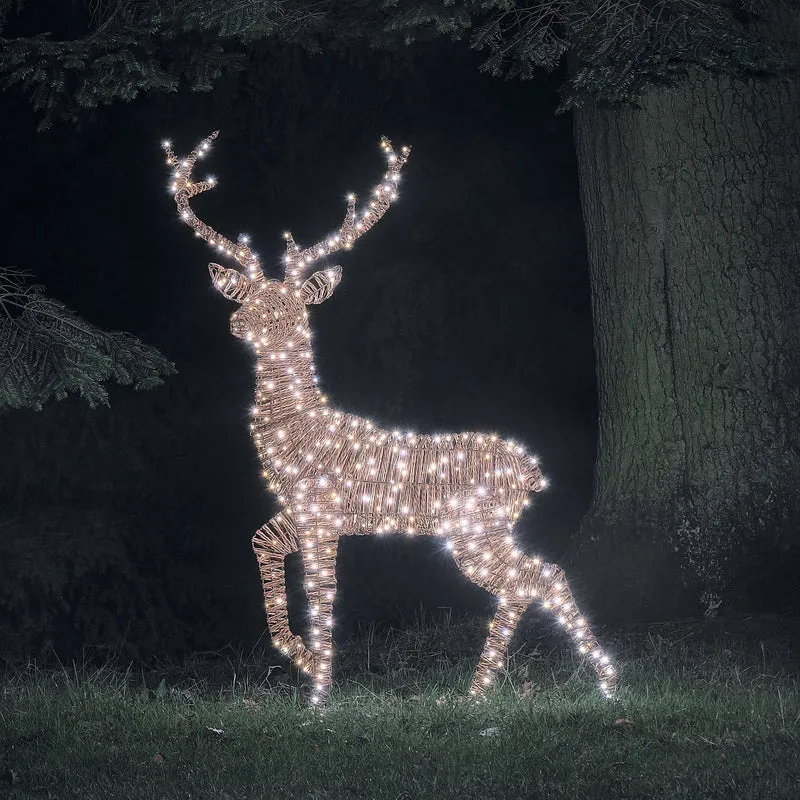 Pateley XL LED-Rentier Hirsch im Rattan-Look mit 500 Mikro-LEDs