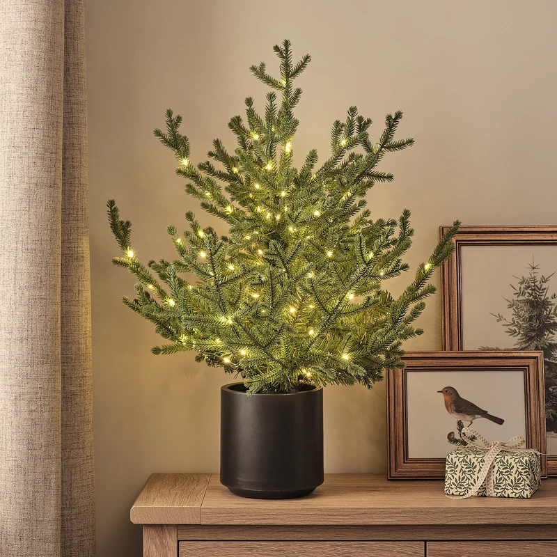 60cm LED-Weihnachtsbaum Grandis Fir im Topf warmweiß für den Außenbereich