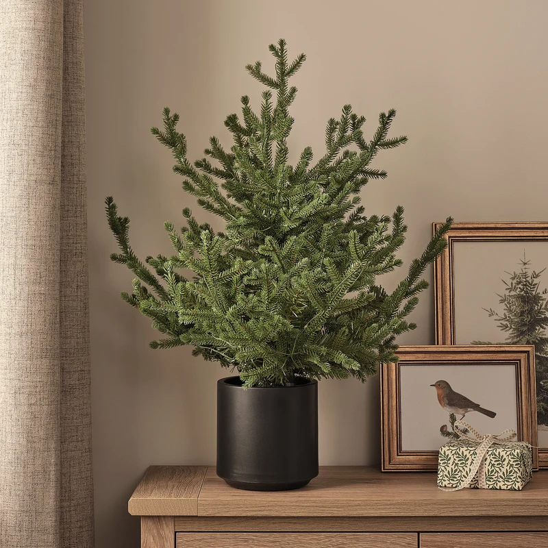 60cm LED-Weihnachtsbaum Grandis Fir im Topf warmweiß für den Außenbereich