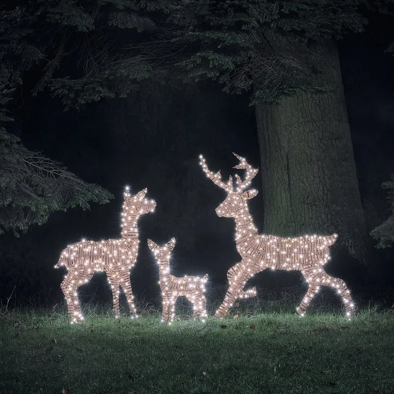 3er Set Pateley Bicolor LED-Rentierfamilie aus Rattan mit 750 LEDs