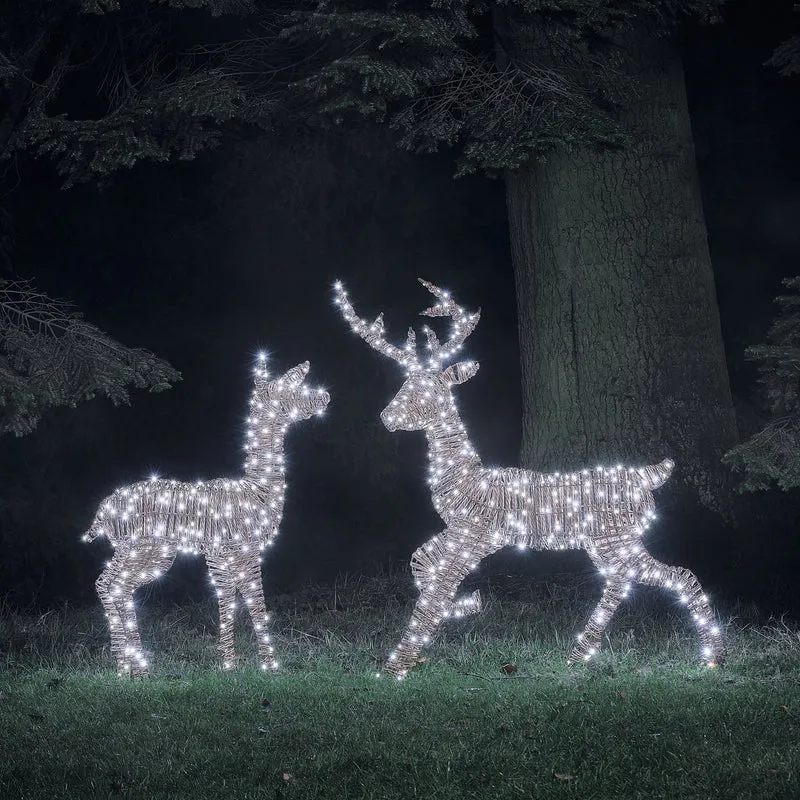 2er Set Pateley Bicolor LED-Rentiere Hirsch und Hirschkuh in Rattanoptik