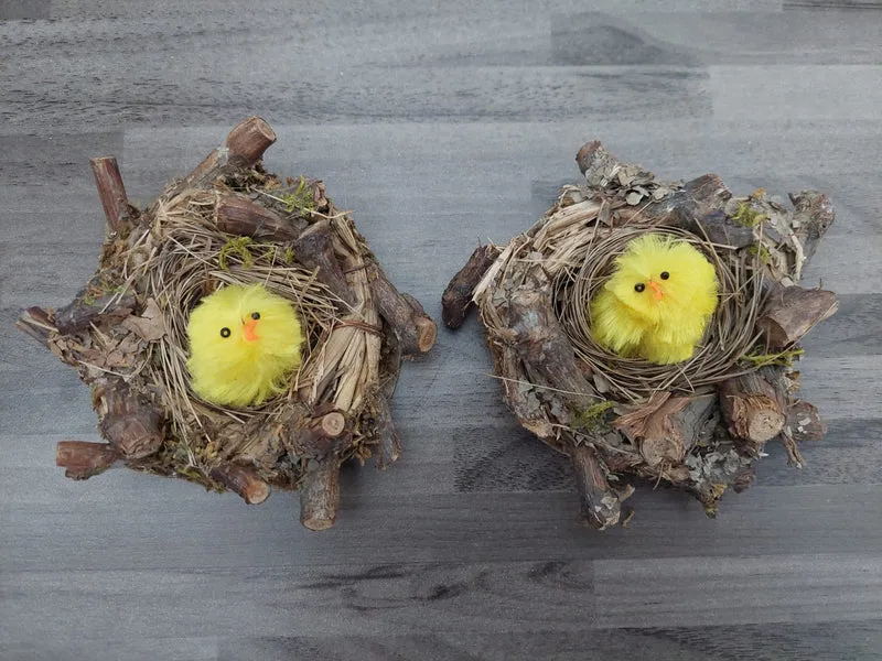 Nest aus Ästen mit Küken