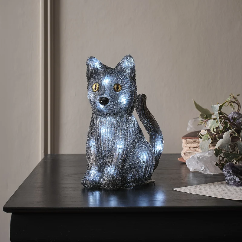 2er Set LED-Halloween-Figuren mit Timer – Hexenhut & Katze „Jet“