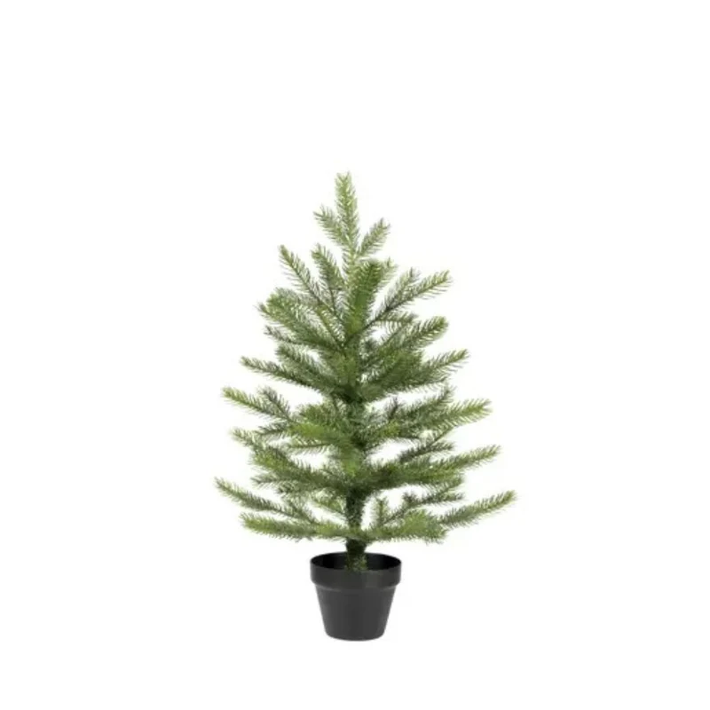 Grandis Tannenbaum Indoor