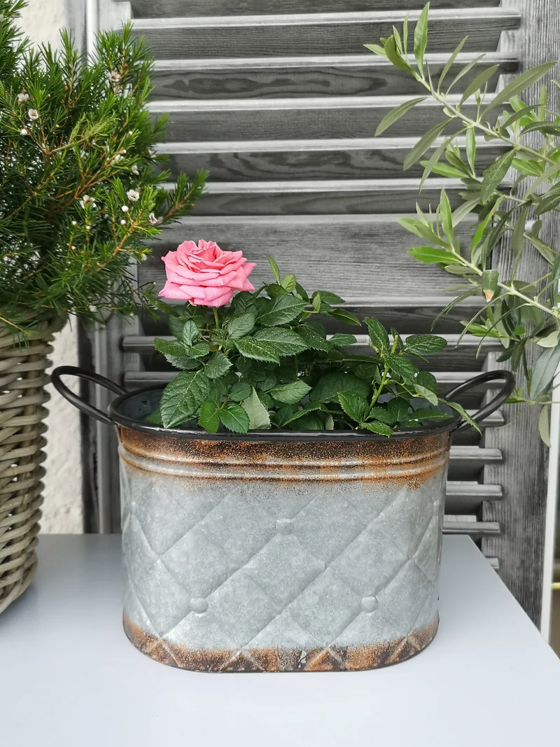 Zink Blumentopf Bea