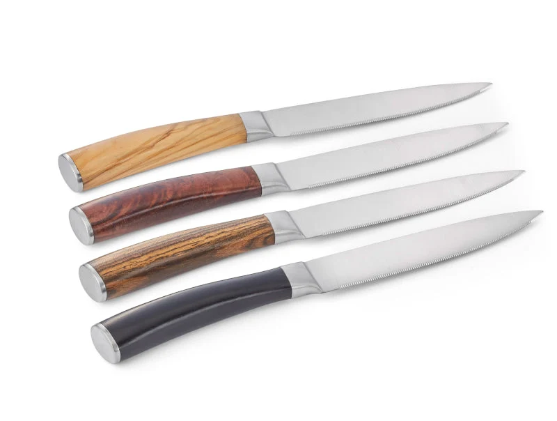 Garry Steakmesser Set 4 tlg
