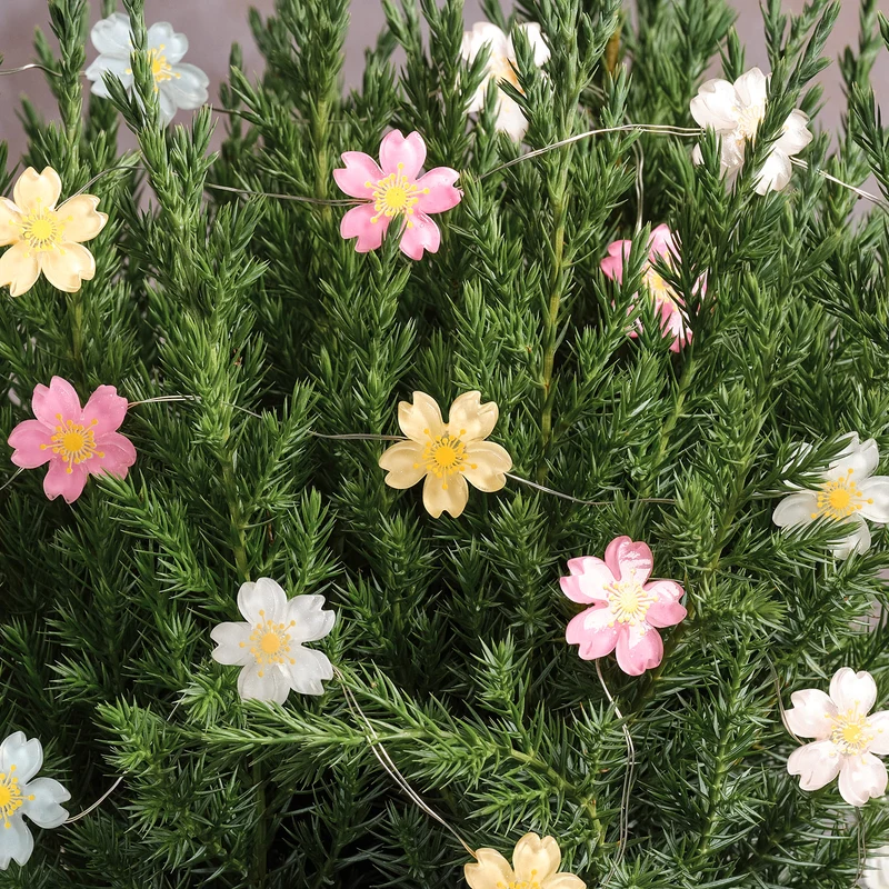 Batteriebetriebene LED‑Mikro‑Blumenlichterkette mit 20 Lichtern in Warmweiß