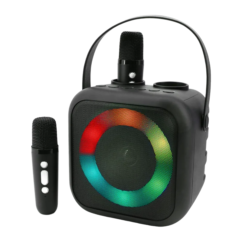 Tragbares Bluetooth Karaoke System