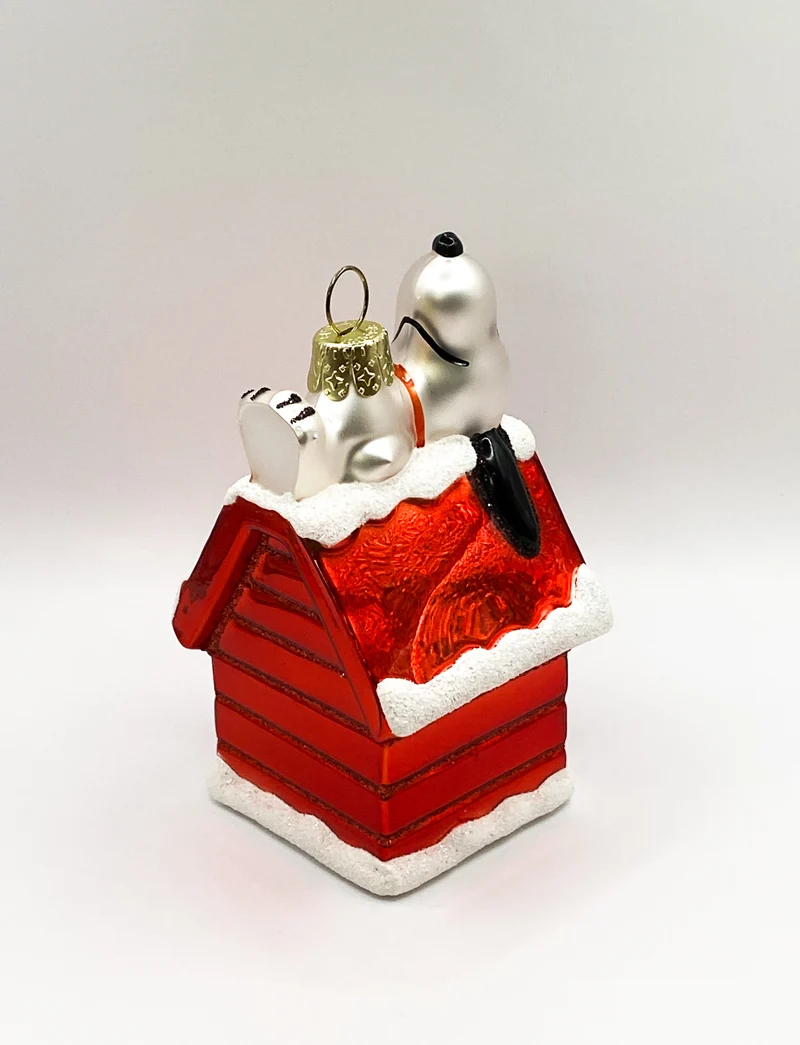 Snoopy liegt auf seiner Hundehütte