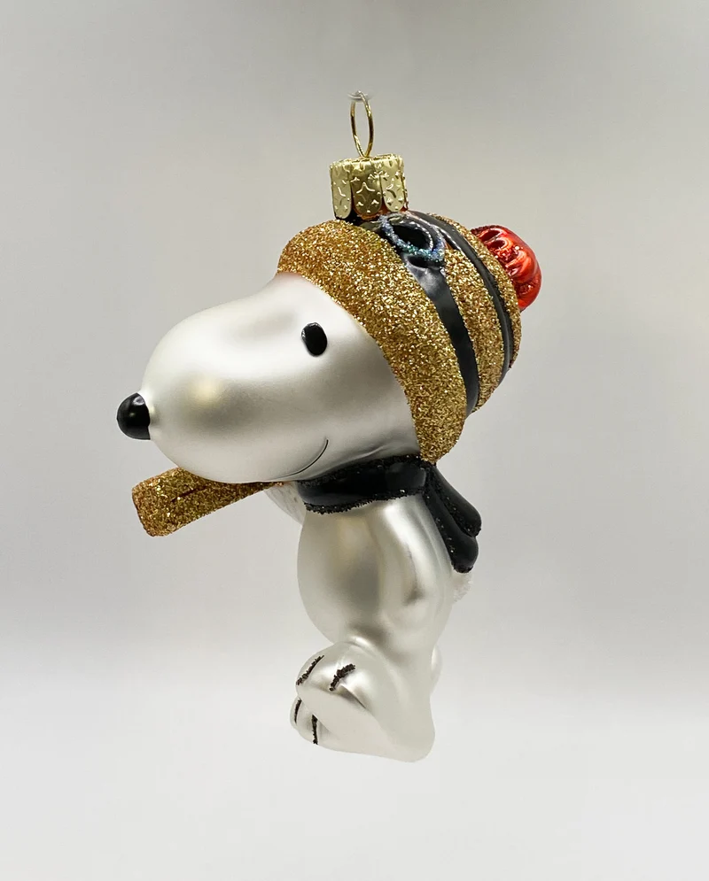 Snoopy geht Ski fahren