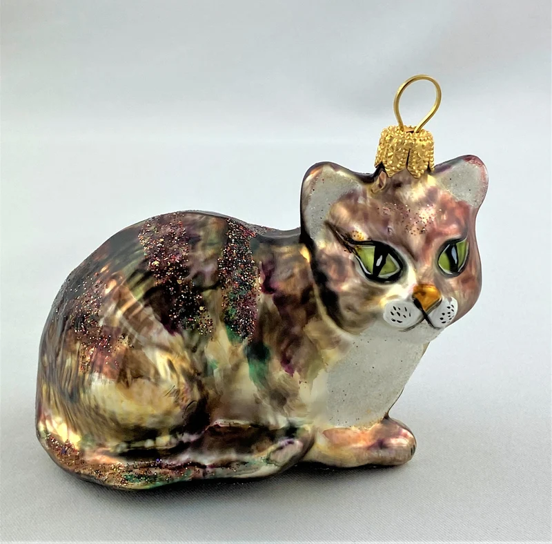 Tigerkatze mit weissem Bauch
