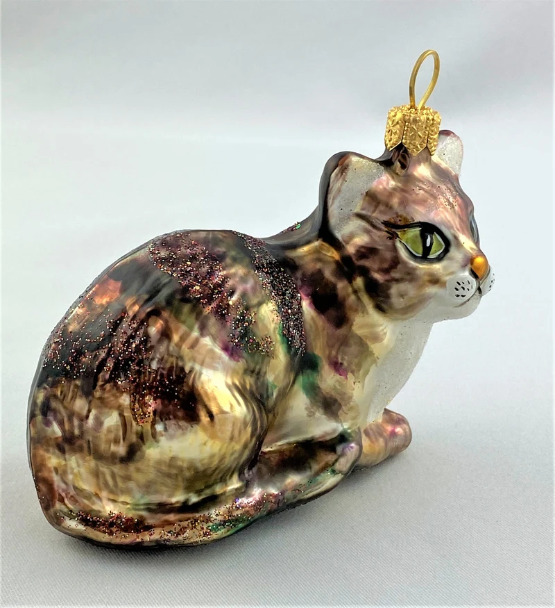 Tigerkatze mit weissem Bauch