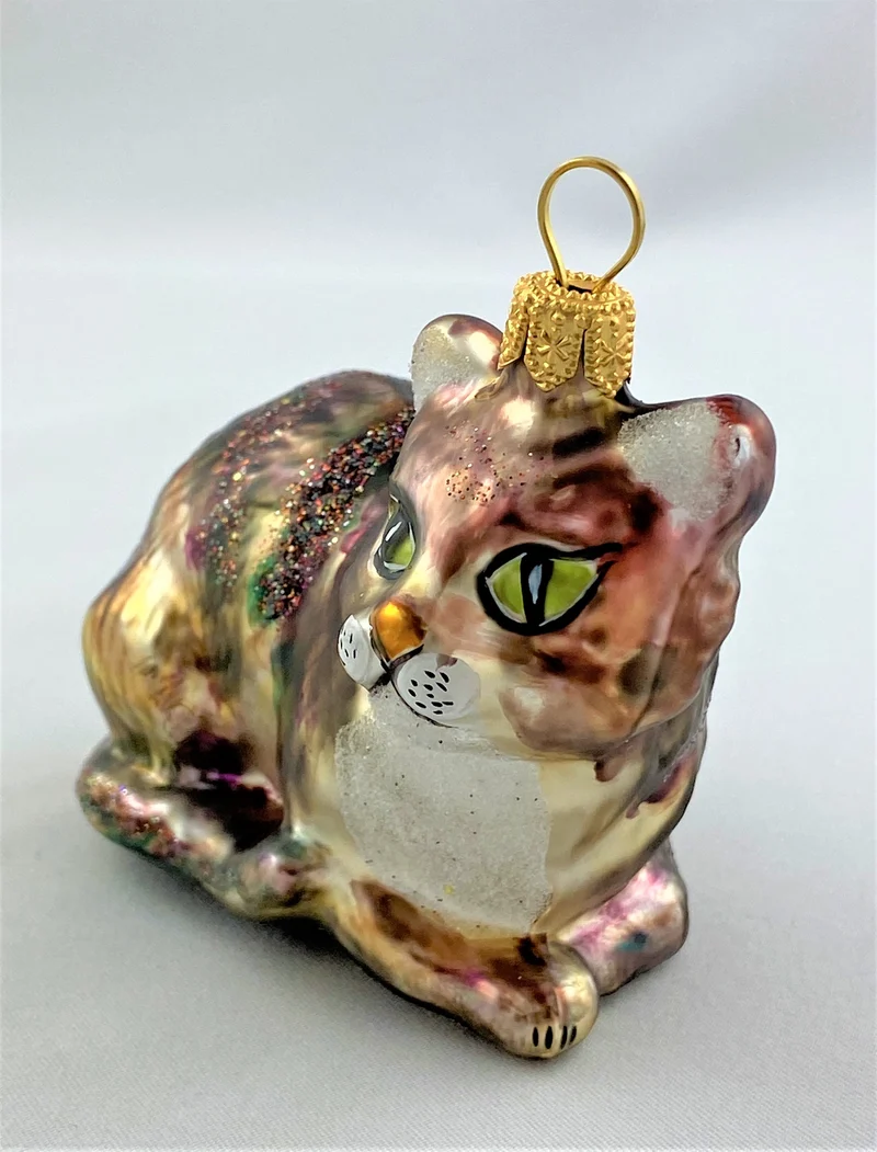 Tigerkatze mit weissem Bauch