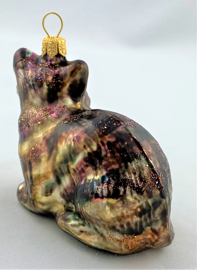 Tigerkatze mit weissem Bauch
