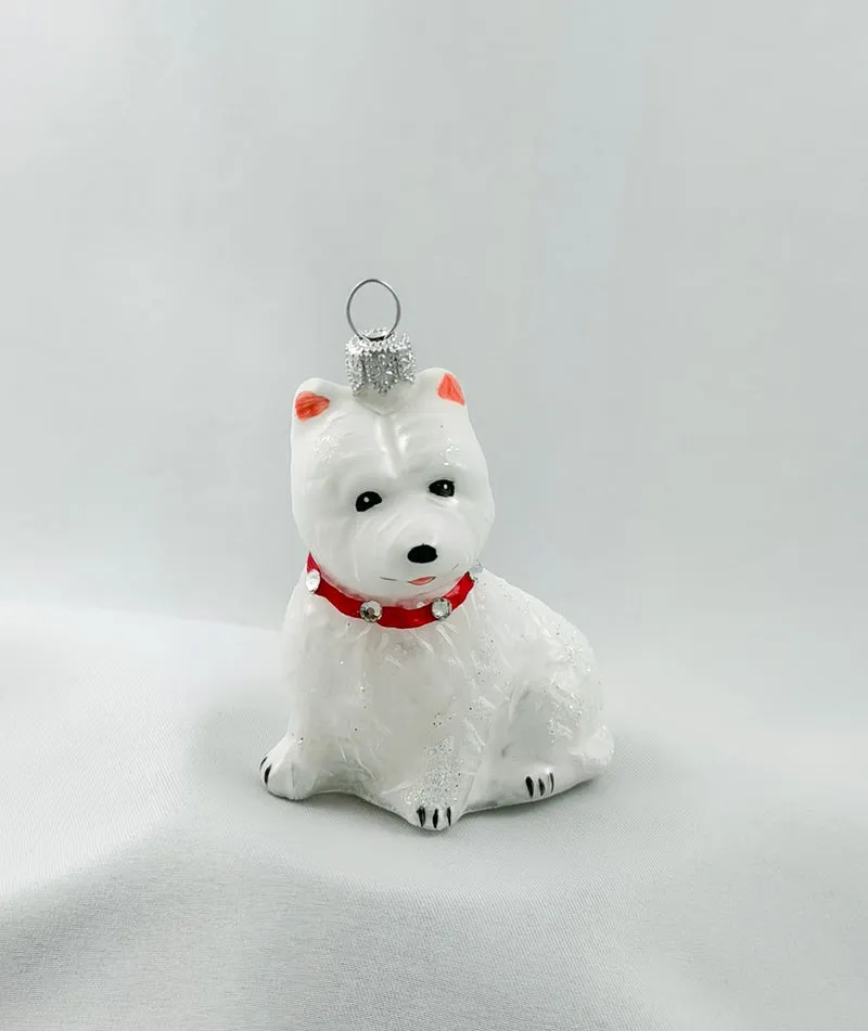 West Highland-Terrier-Hund mit rotem Glitzer-Halsband