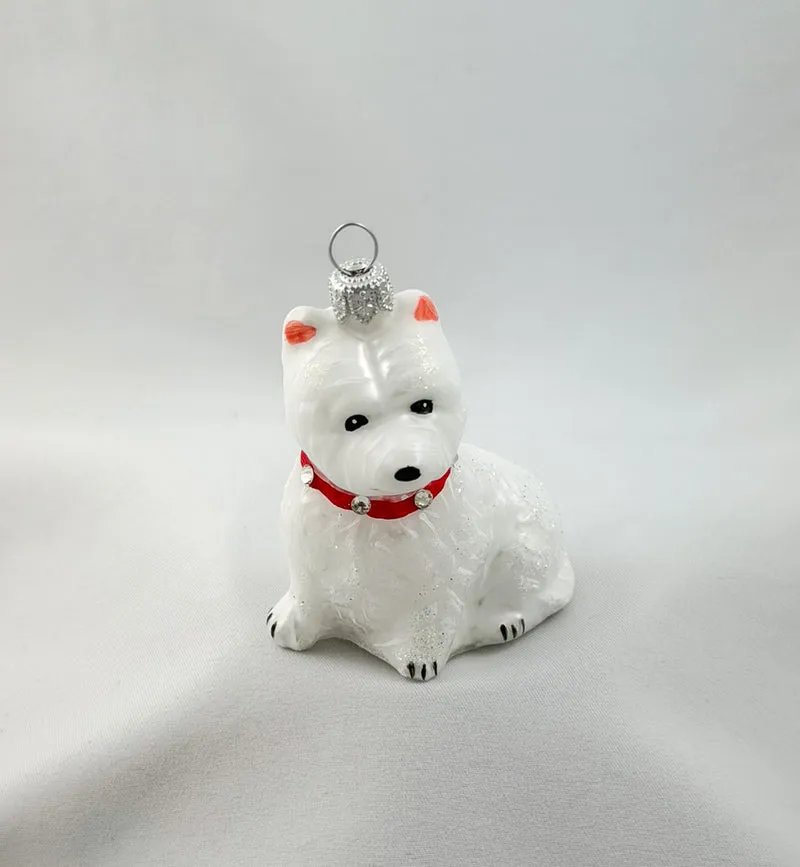 West Highland-Terrier-Hund mit rotem Glitzer-Halsband