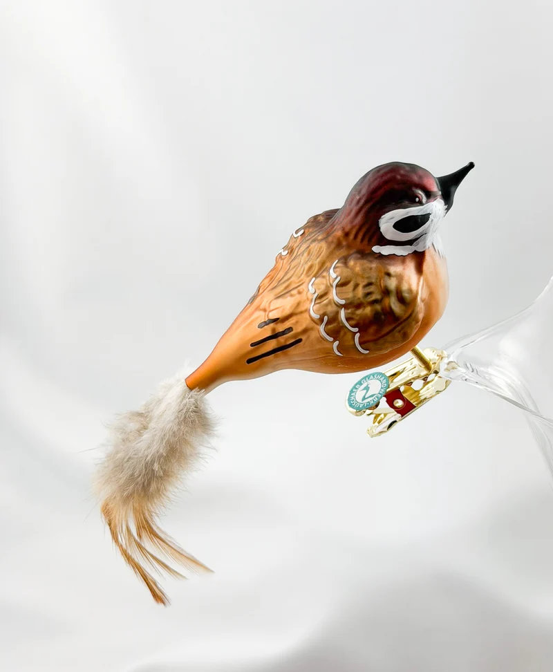 Dicker Feld-Sperling, Feld-Spatz mit hellbrauner Naturfeder