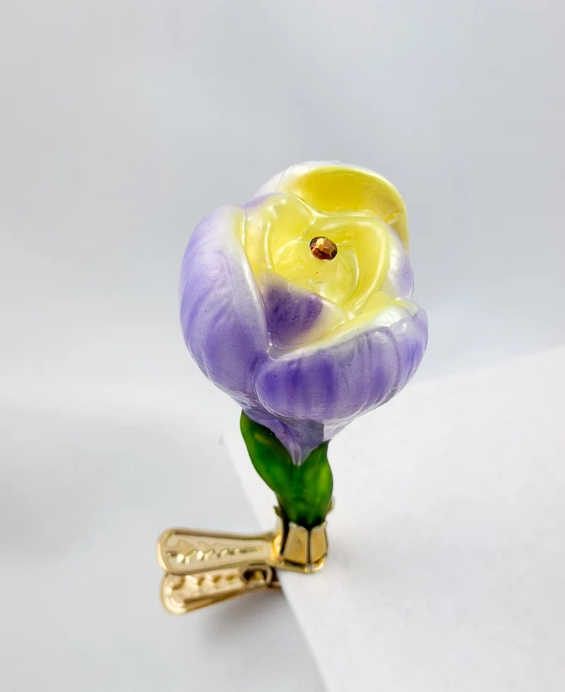 Krokusblüte mit lila und gelben Blütenblättern am Clip