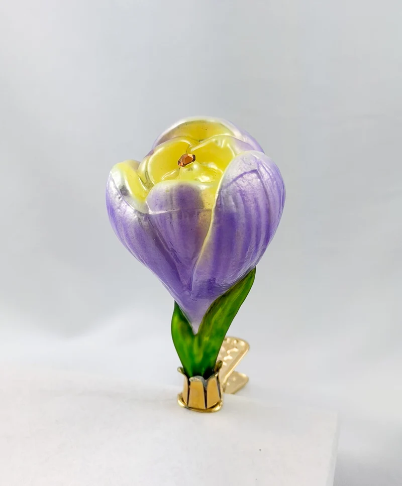 Krokusblüte mit lila und gelben Blütenblättern am Clip