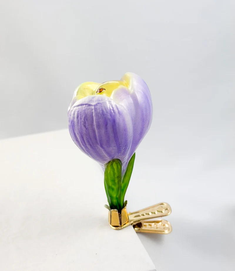 Krokusblüte mit lila und gelben Blütenblättern am Clip